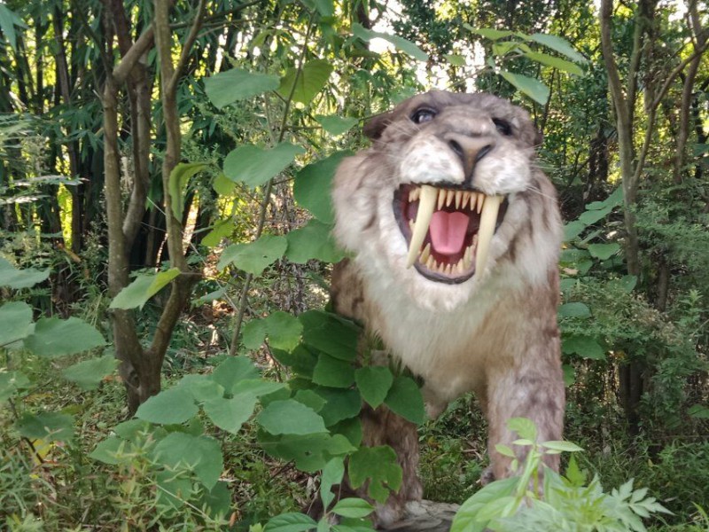 劍齒虎 仿真劍齒虎 仿真動物  仿真機械動物